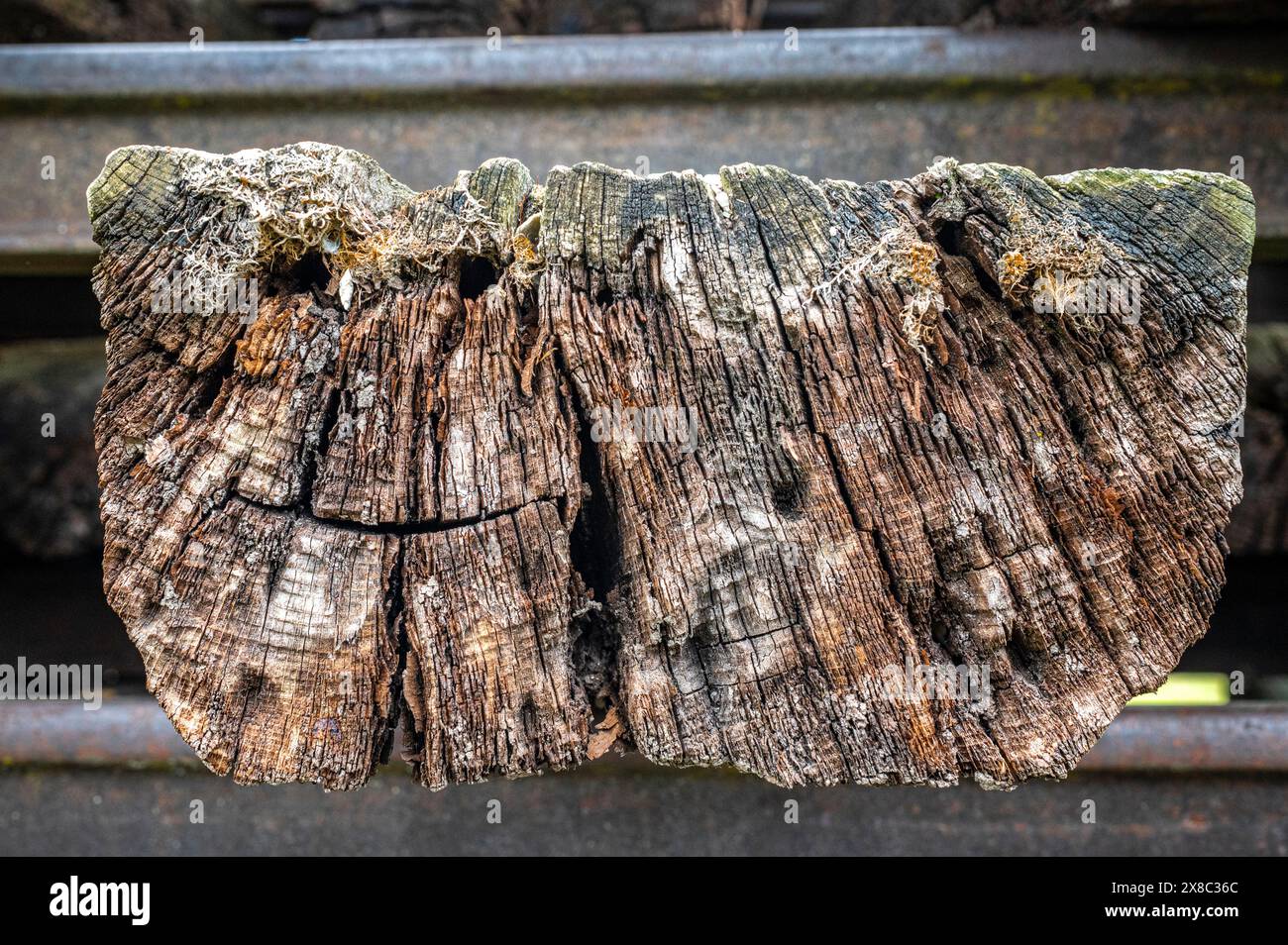 la struttura di legno con crepe e marcisce a causa delle condizioni atmosferiche e del tempo, è stata utilizzata per costruire binari ferroviari Foto Stock