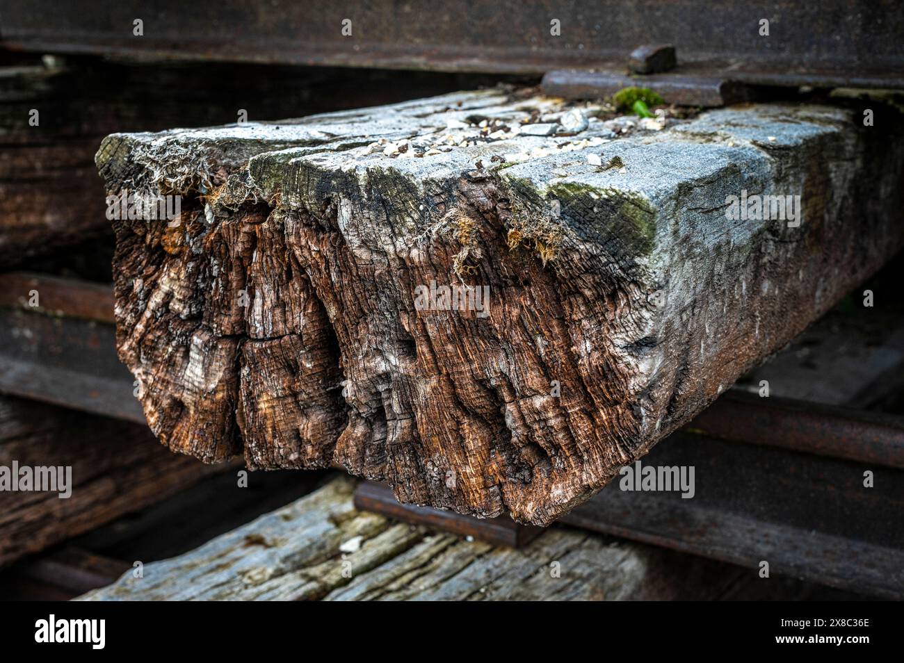 la struttura di legno con crepe e marcisce a causa delle condizioni atmosferiche e del tempo, è stata utilizzata per costruire binari ferroviari Foto Stock