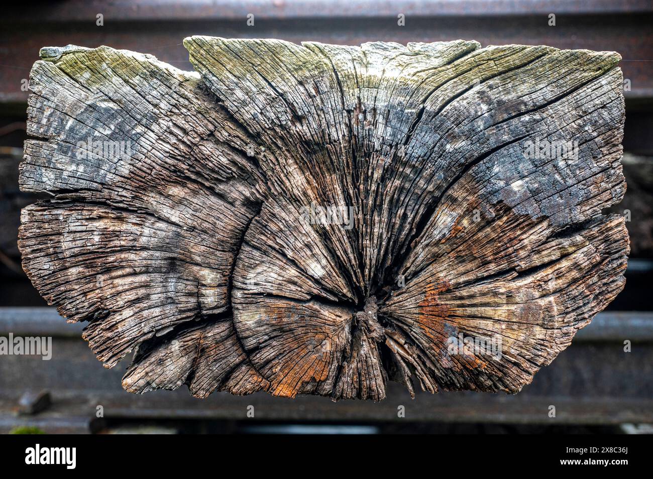 la struttura di legno con crepe e marcisce a causa delle condizioni atmosferiche e del tempo, è stata utilizzata per costruire binari ferroviari Foto Stock