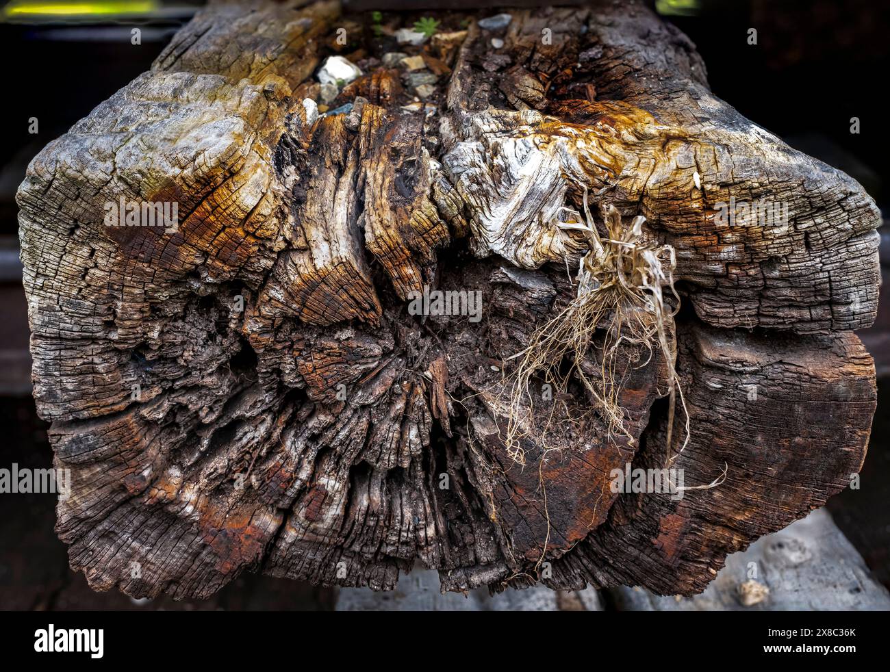 la struttura di legno con crepe e marcisce a causa delle condizioni atmosferiche e del tempo, è stata utilizzata per costruire binari ferroviari Foto Stock
