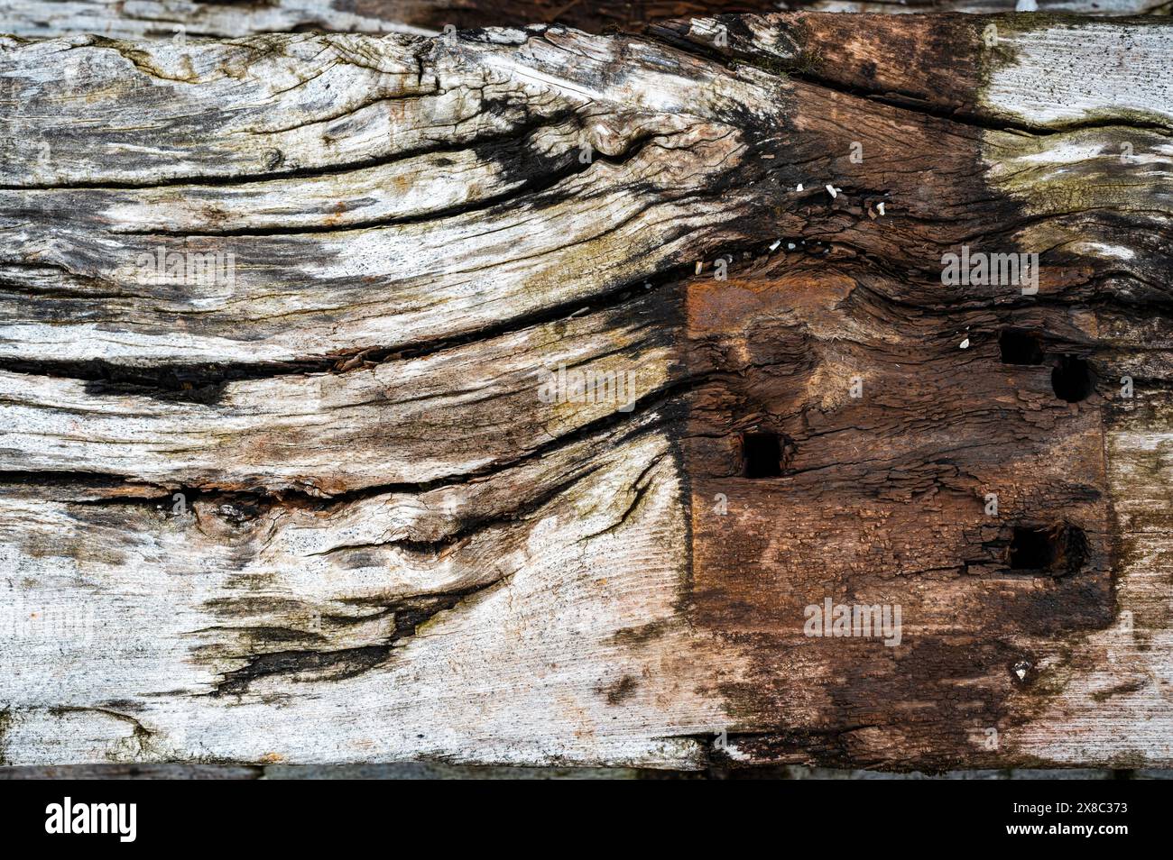 la struttura di legno con crepe e marcisce a causa delle condizioni atmosferiche e del tempo, è stata utilizzata per costruire binari ferroviari Foto Stock