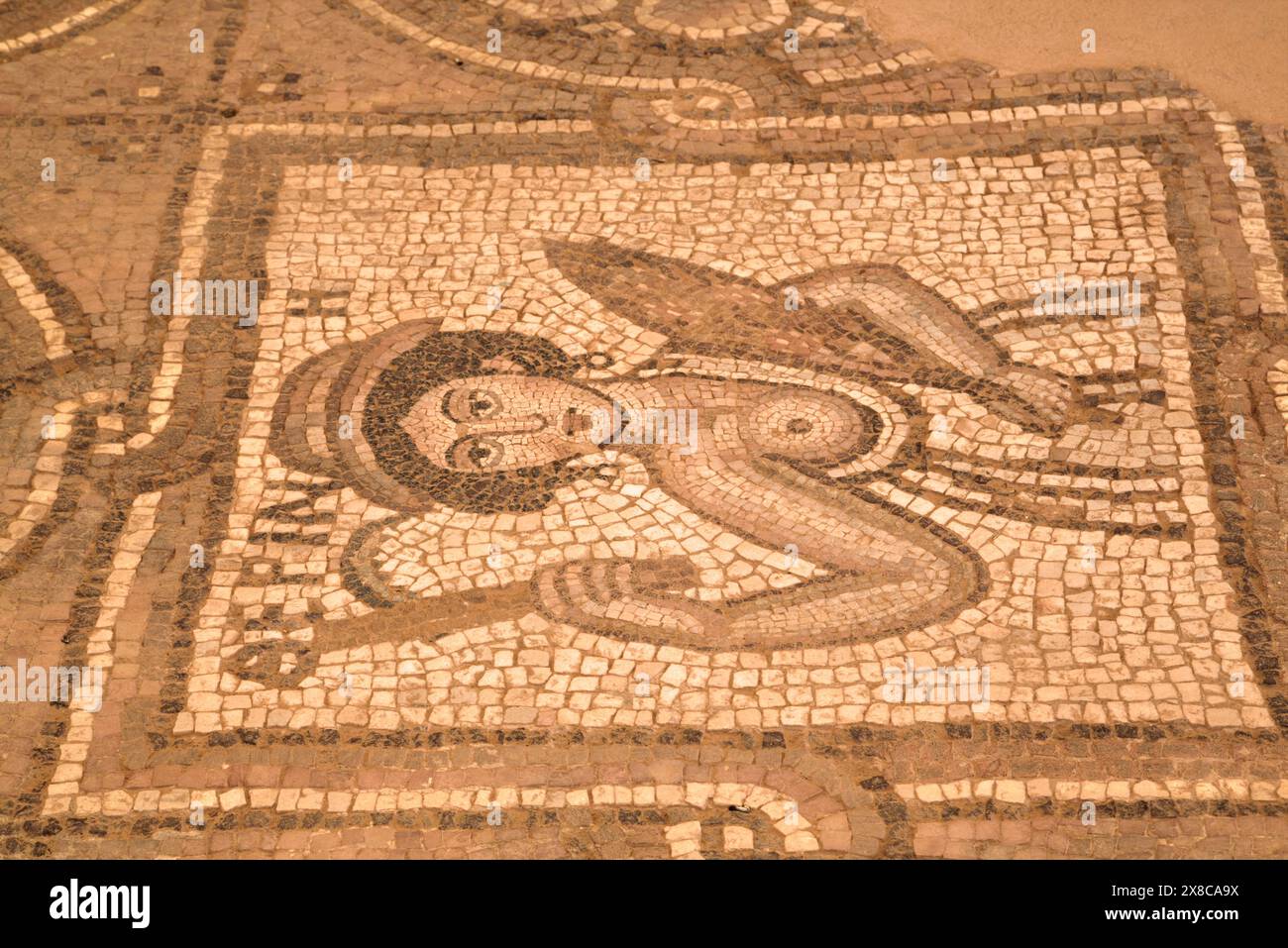 Mosaici pavimentali, Petra chiesa (noto anche come la chiesa bizantina), costruito tra il v e il VII secolo D.C., Petra, Giordania Foto Stock