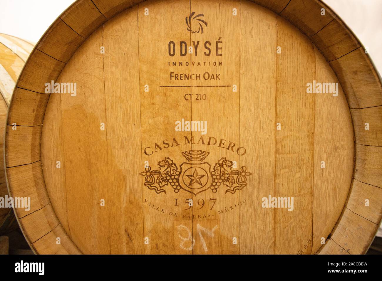 Vino messicano; grande botte di vino nella cantina della Casa Madero Winery, la più antica delle Americhe d. dal XVI secolo; Coahuila, Messico Foto Stock