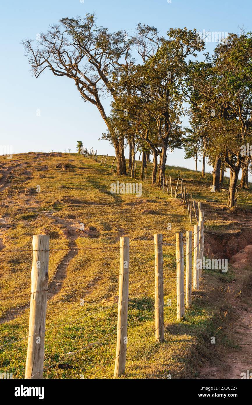 Splendida valle a Santa Branca, São Paolo, Brasile. Foto Stock