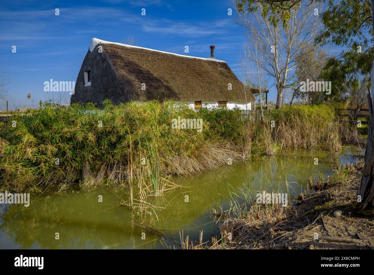 Esterno della Barraca de Salvador, una struttura ricettiva rurale situata in cabine tradizionali del Delta dell'Ebro (Tarragona, Catalogna, Spagna) Foto Stock