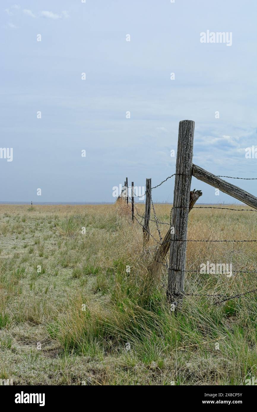 Linea di pali di recinzione in filo metallico sulla prateria aperta a Pawnee National Grassland Foto Stock Linea di pali di recinzione in filo metallico sulla prateria aperta a Pawnee National Grassland Foto Stock