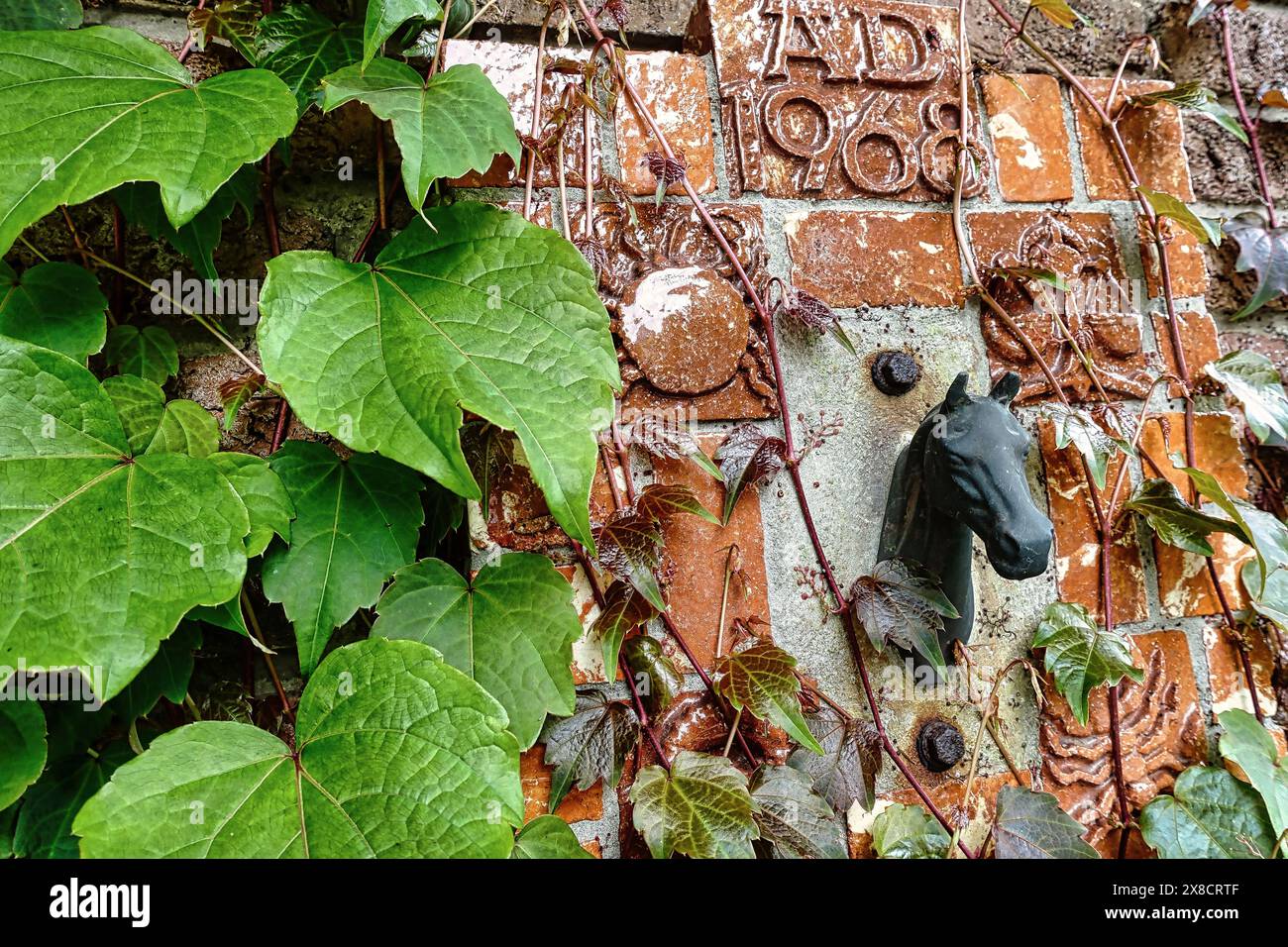 Piatto di argilla in ceramica con segni zodiacali della famiglia, dei genitori, dei bambini e della testa di un cavallo come ricordo della macellazione dei cavalli dei nonni, Germania, NRW Foto Stock