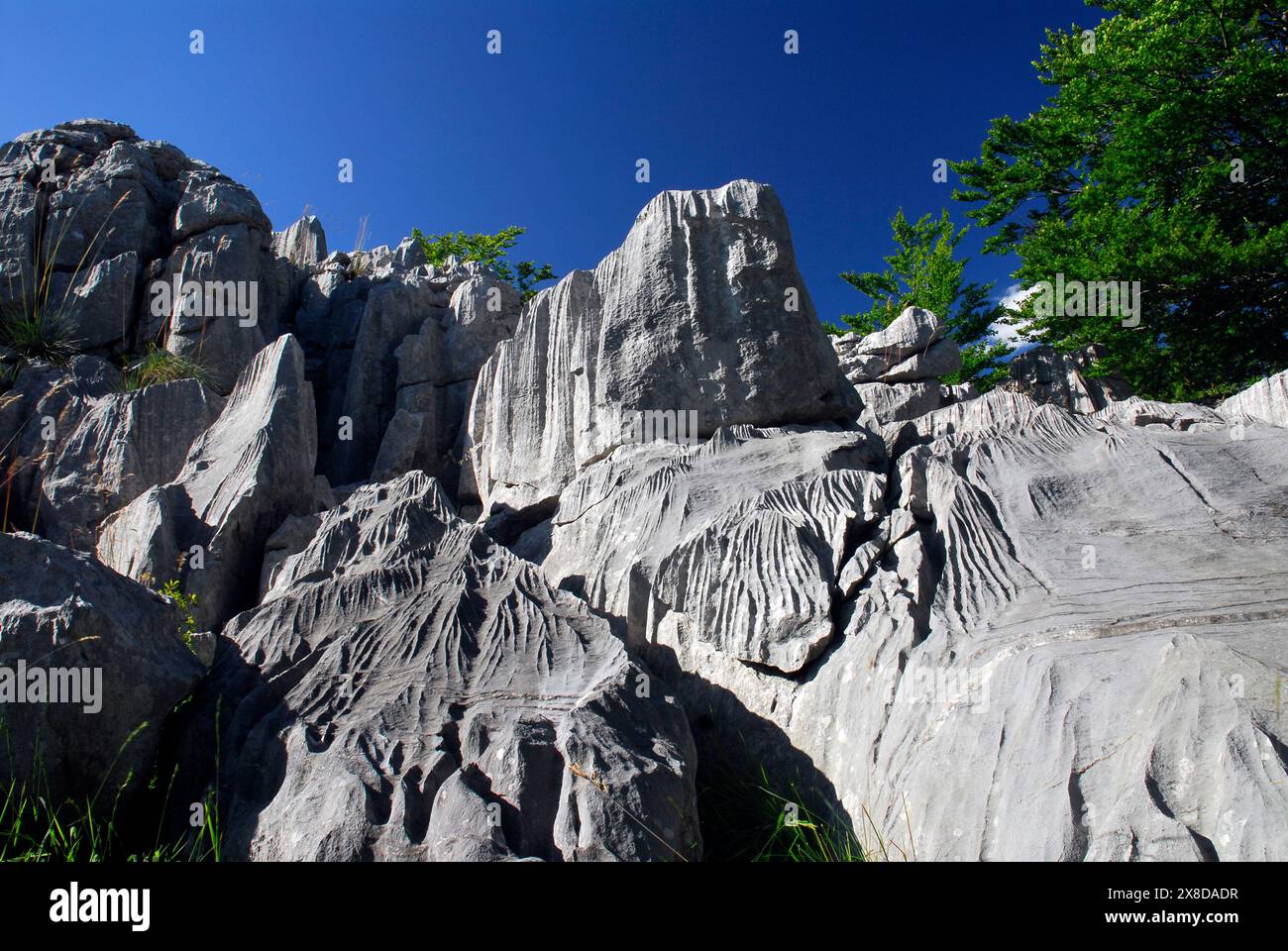 Una pavimentazione calcarea nella roccia calcarea di un carsico Foto Stock