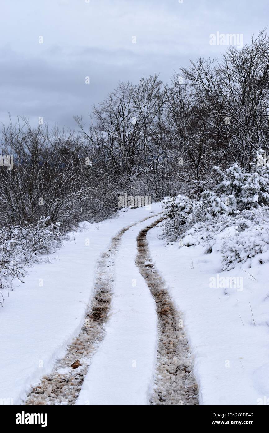 Segni di pneumatici sulla neve in un paesaggio innevato Foto Stock