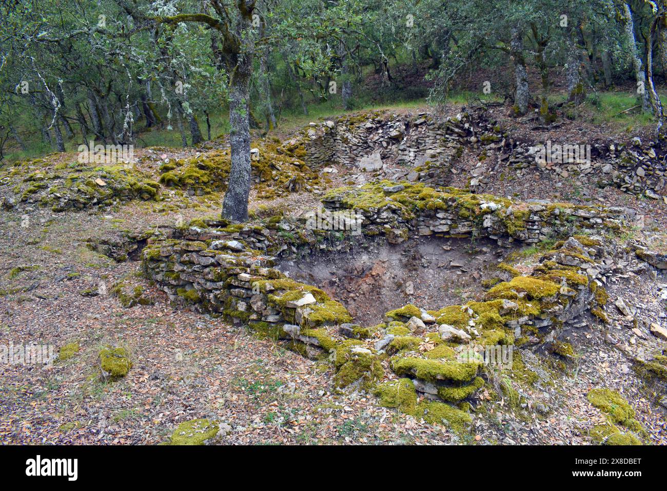 Necropoli dell'età del ferro di Los Castros de lastra. Valdegov’a.. Alava. Paesi baschi. Spagna. Foto Stock