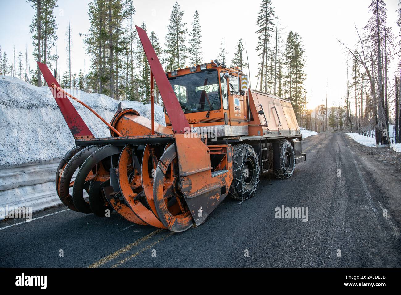 Un camion spazzaneve per impieghi gravosi utilizzato per sgombrare le strade durante l'inverno e in condizioni di neve ghiacciata in un parco nazionale della California. Foto Stock
