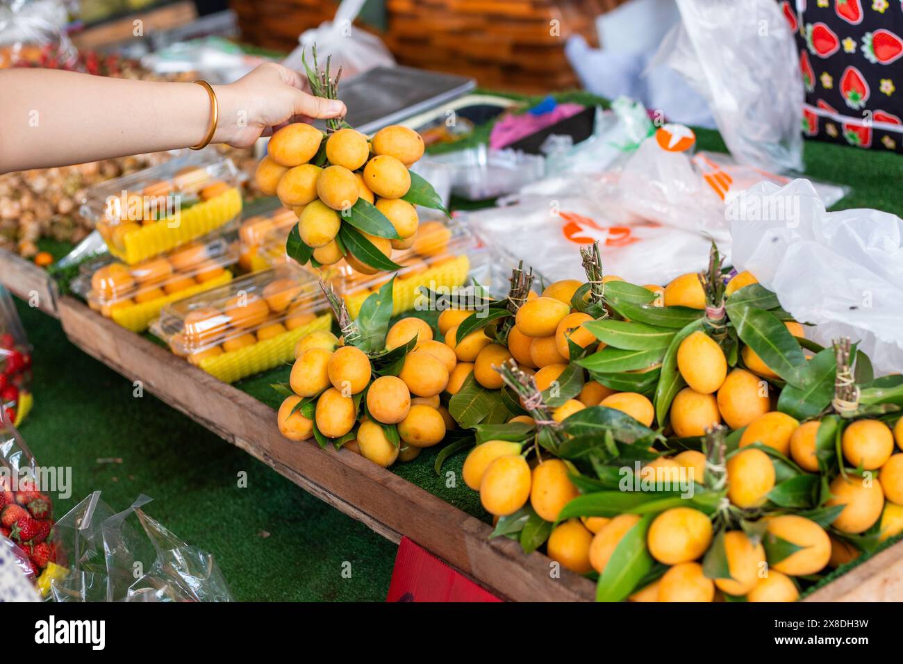 I frutti di prugna delle Marianne gialle vengono raccolti in un mazzo su un bancone del mercato. Comprare frutta in Thailandia. Foto Stock