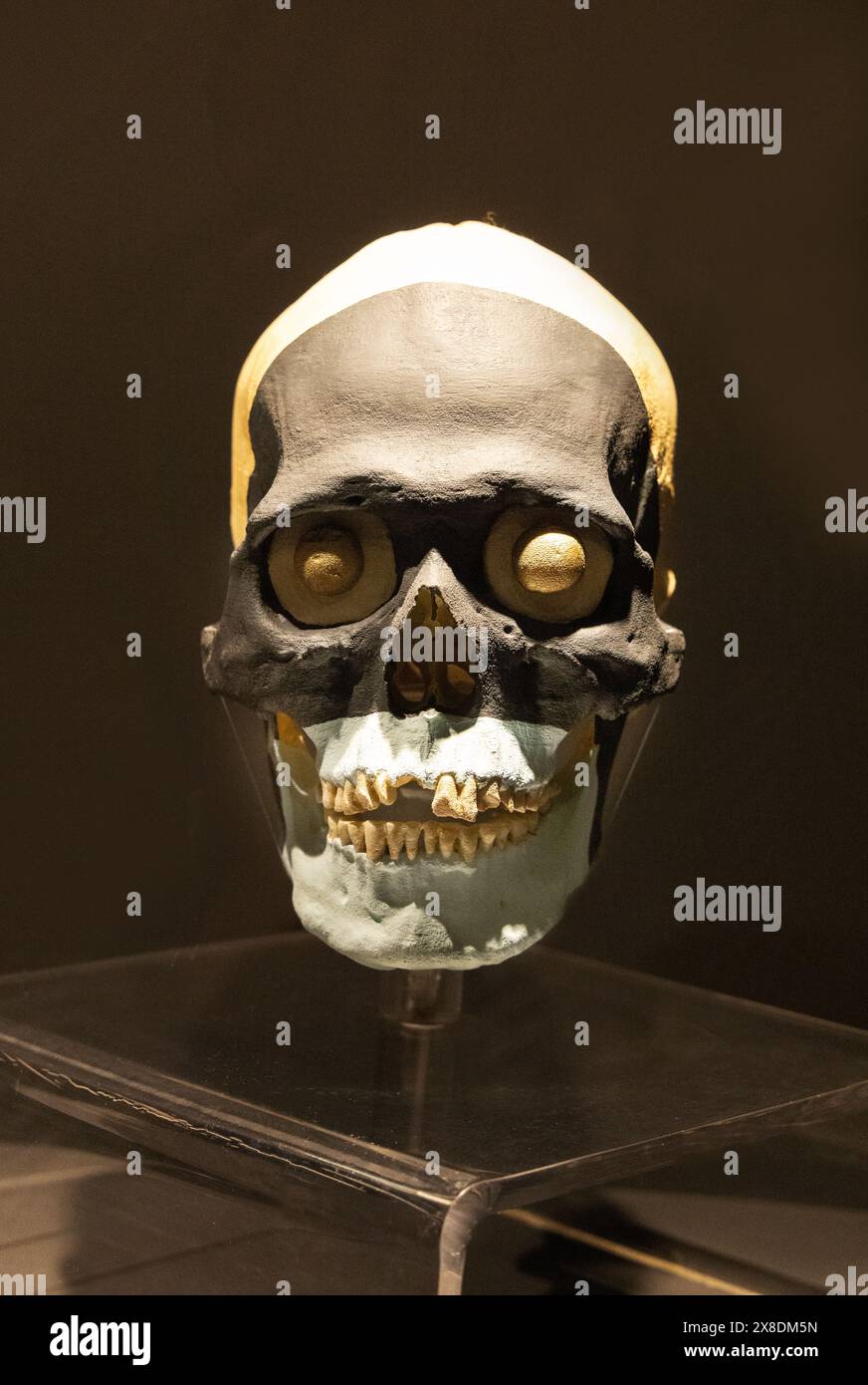 Maschera cranica azteca, realizzata con cranio umano anteriore, conchiglia e pirite, fatta come offerta; Aztec Civilization, XV secolo, Templo Major Messico Foto Stock