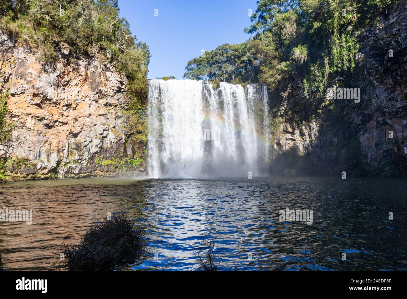 Cascate di Dangar vicino a Dorrigo su Waterfall Way nel nuovo Galles del Sud, Australia, autunno 2024 Foto Stock