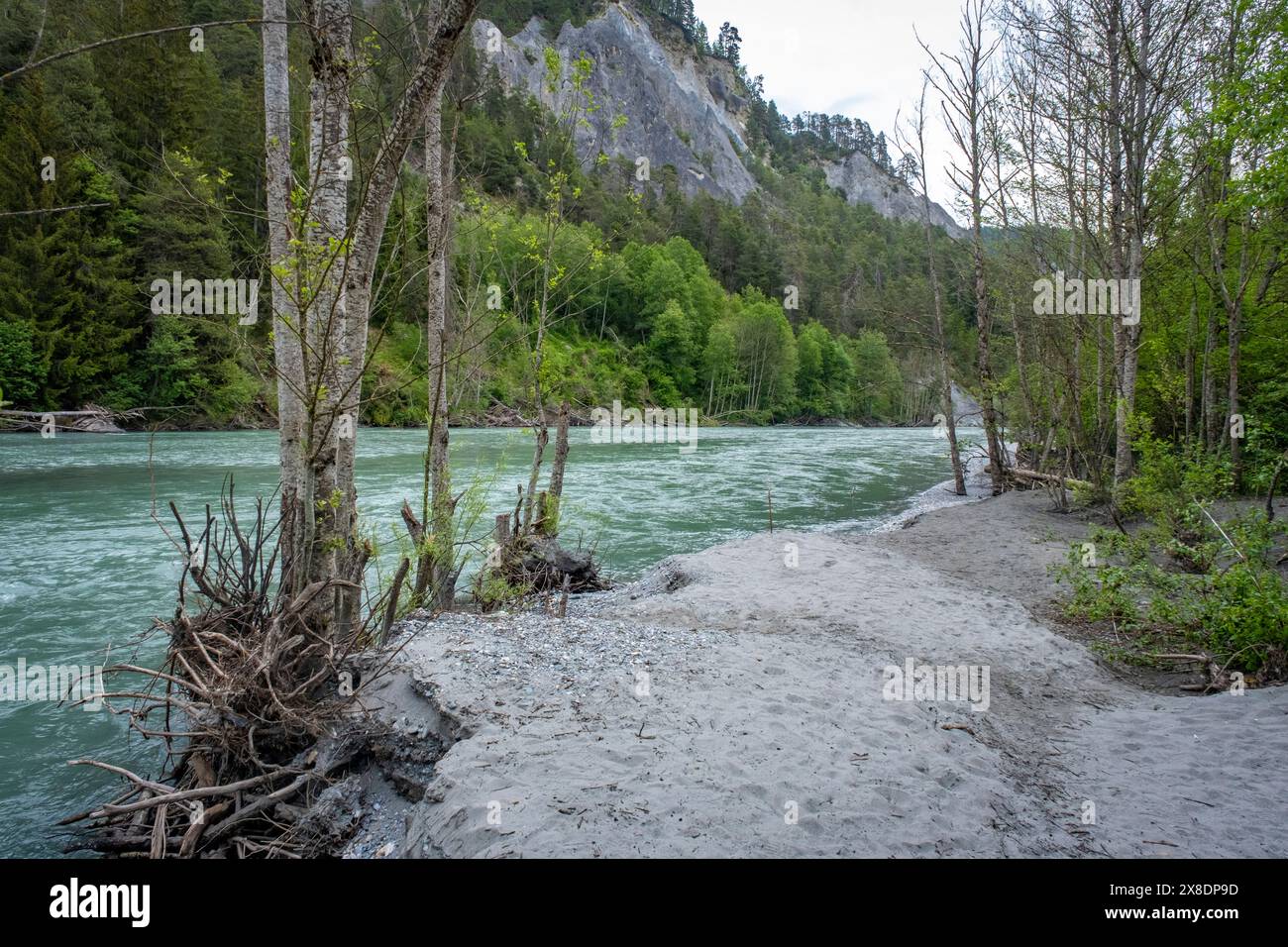 Camminando attraverso il Rheinschlucht vicino a Flims nel Canton Grison Foto Stock