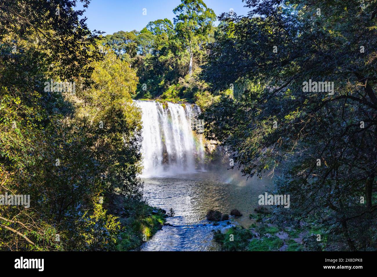 Cascate di Dangar vicino a Dorrigo su Waterfall Way nel nuovo Galles del Sud, Australia, autunno 2024 Foto Stock