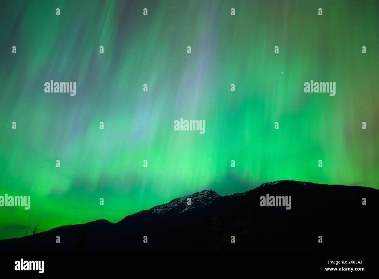 I coloratissimi raggi dell'Aurora Boreale piovono sulla vetta del Parco Nazionale delle Cascate Nord Foto Stock