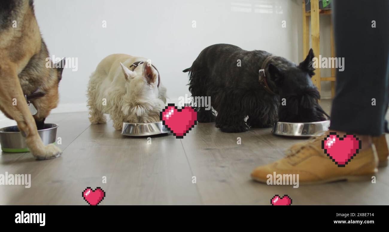 Immagine di icone rosse a forma di cuore su tre cani da compagnia che mangiano Foto Stock
