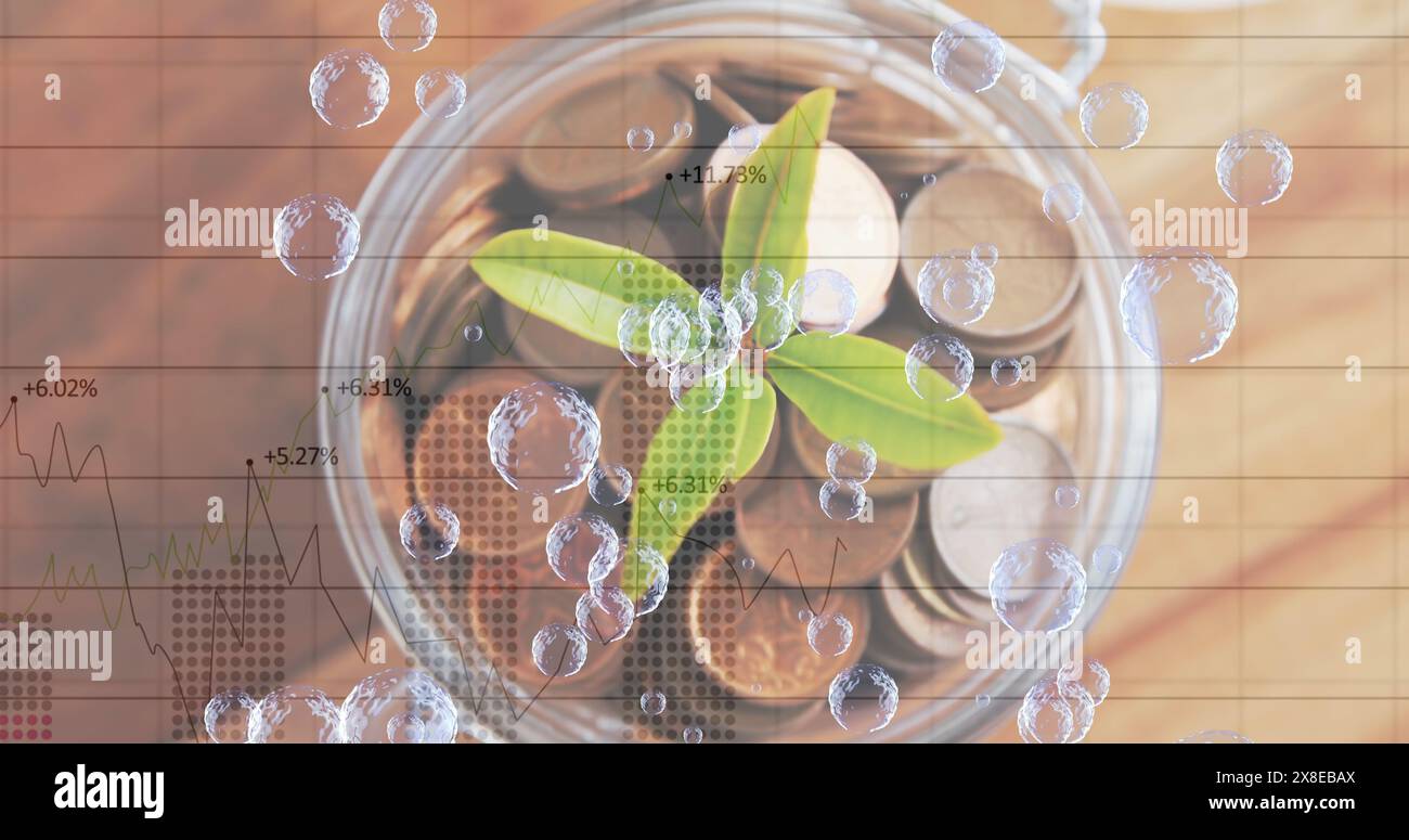 Giovane pianta che cresce da monete in vaso di vetro, concetto di crescita finanziaria Foto Stock