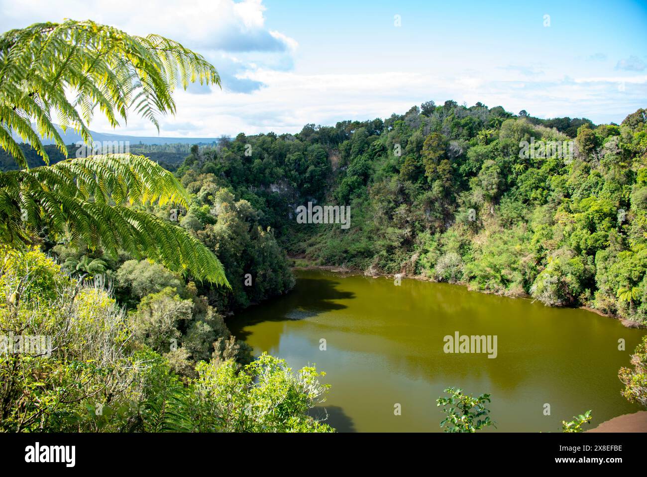 Southern Crater Lake nella Waimangu Volcanic Valley - nuova Zelanda Foto Stock