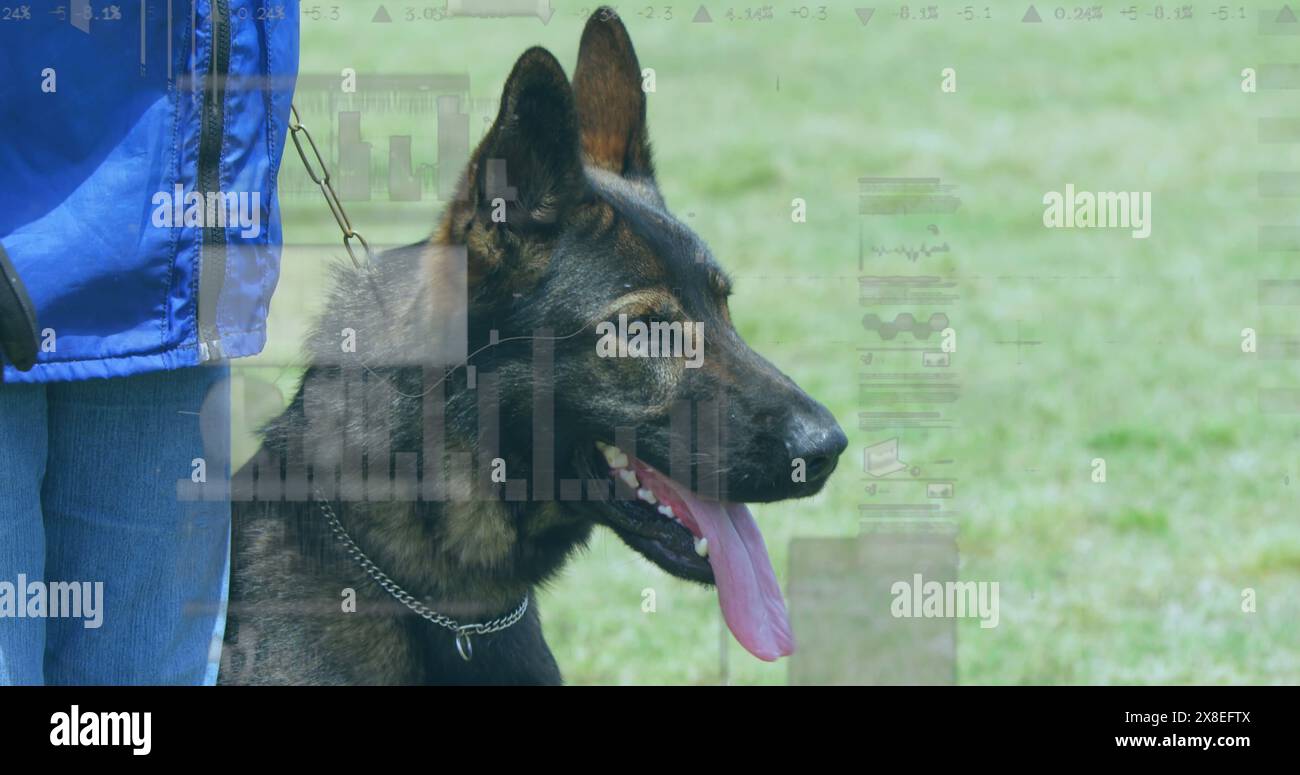 Immagine di elaborazione dati finanziari su uomo caucasico con cane in erba Foto Stock