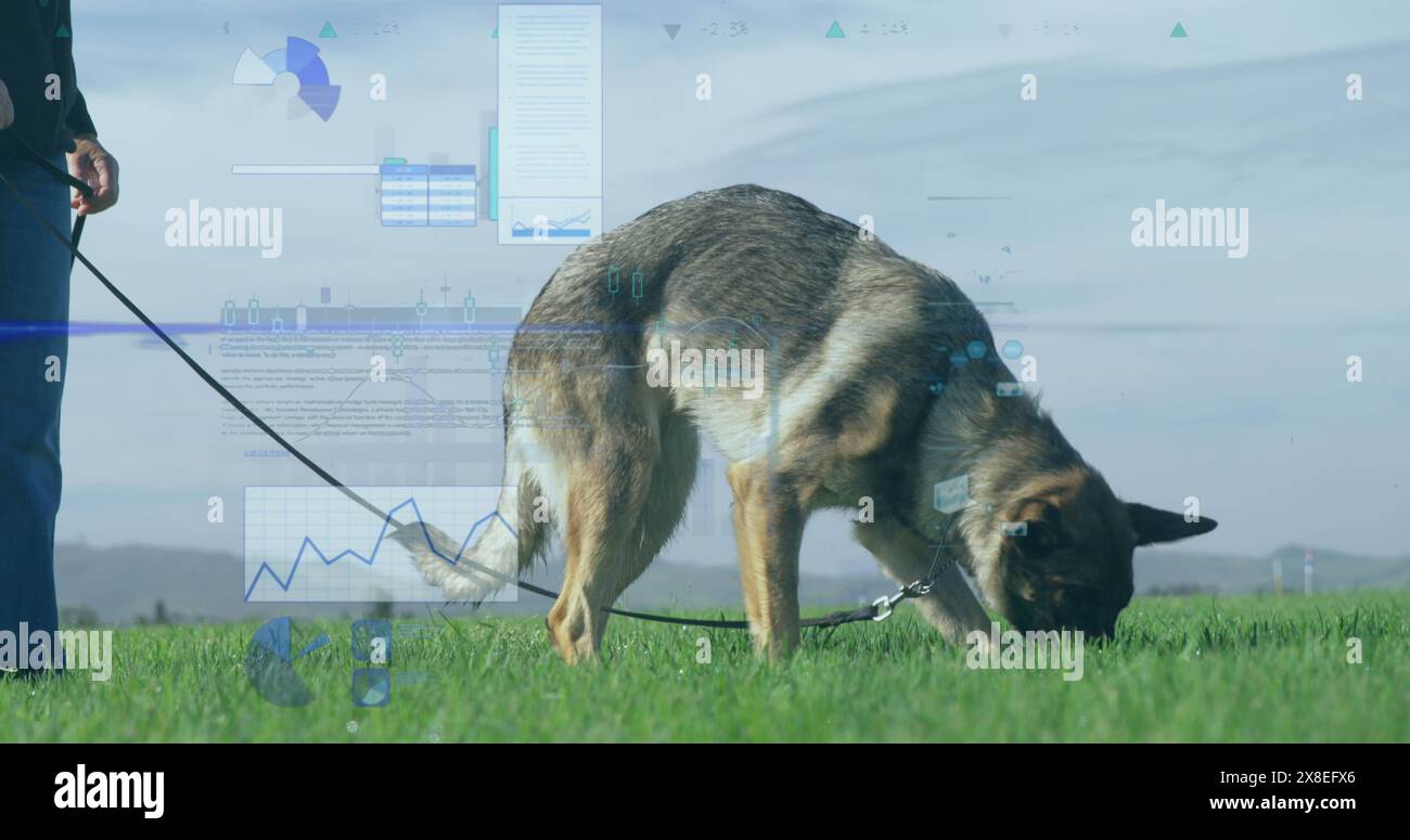 Immagine di elaborazione dati finanziari su uomo caucasico con cane in erba Foto Stock