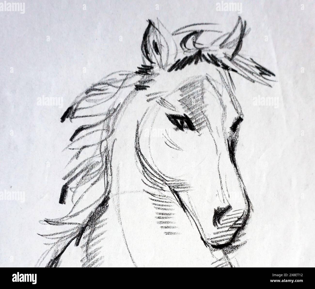 artista professionista disegnato a mano capolavori impressionisti originali disegnato a mano disegnatore linee creative disegnare colpo animale cavallo e struttura pony hobby Foto Stock