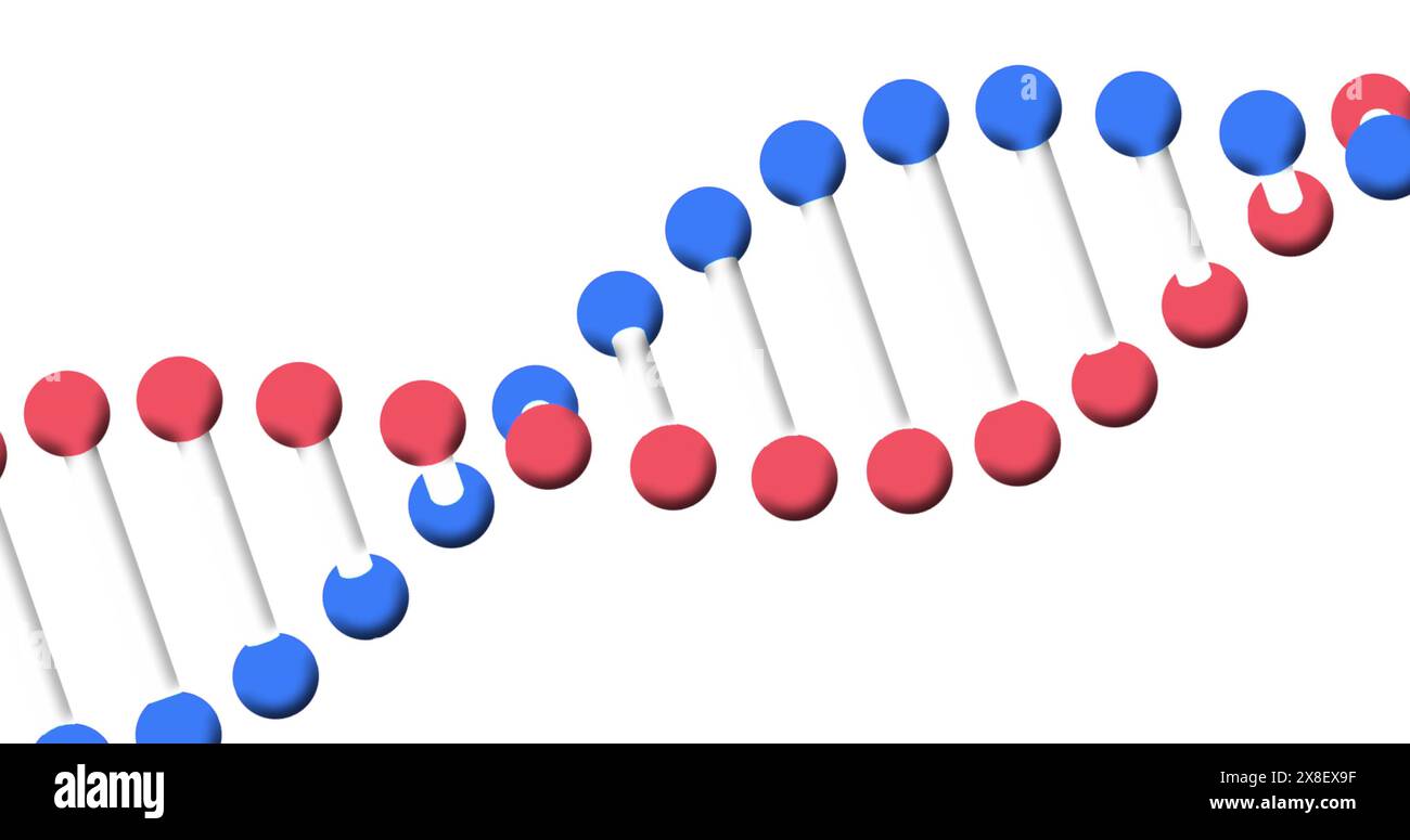 Immagine del filamento di dna 3d che gira su sfondo bianco Foto Stock