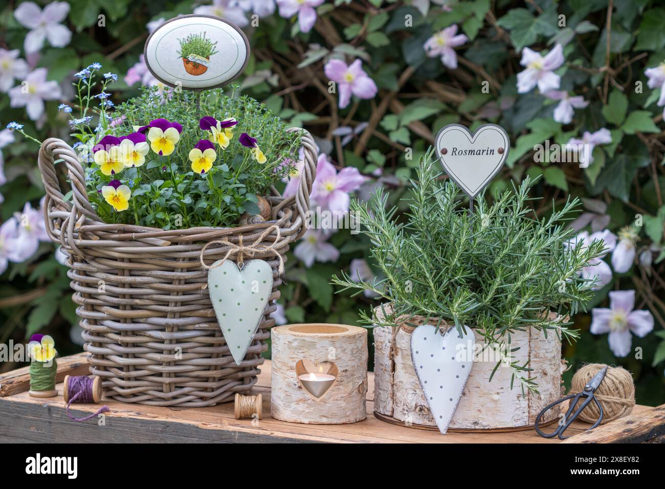 disposizione giardino con rosmarino, viola, timo e non fiorisco in vasi rustici. Foto Stock