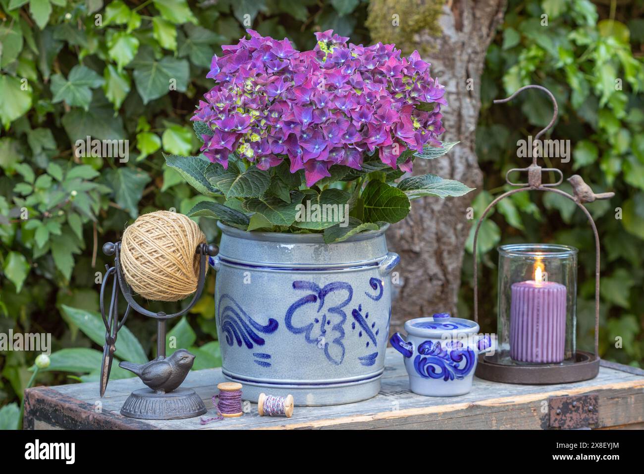 giardino d'epoca con ortensie viola macrofilla in vaso di rum, lanterna e supporto per palla di filato Foto Stock