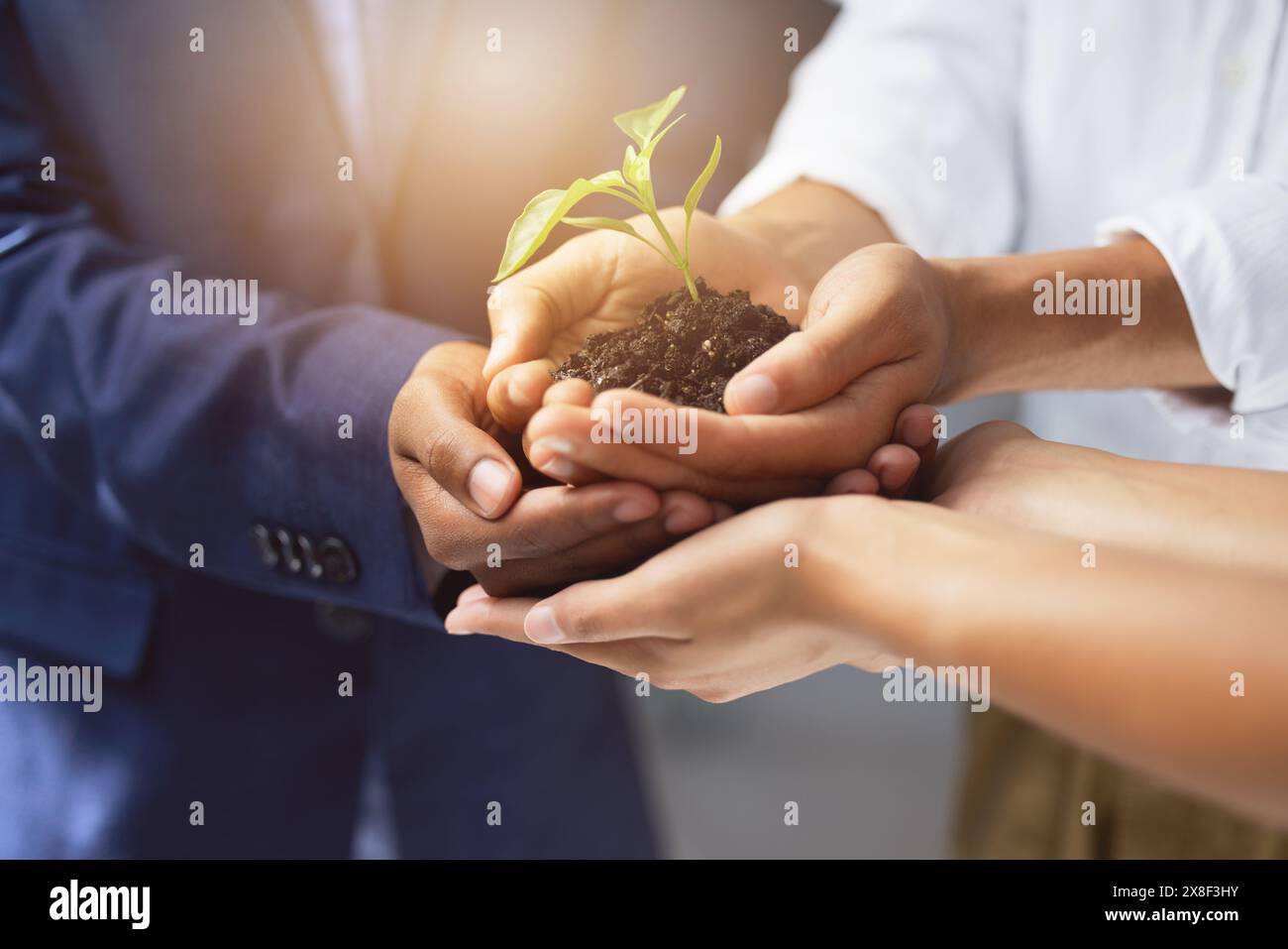 Mani, piantine e lavoro di squadra con il suolo per la crescita, la startup o l'azienda per investimenti futuri. Imprenditorialità, sostenibilità o impianto per la comunità Foto Stock