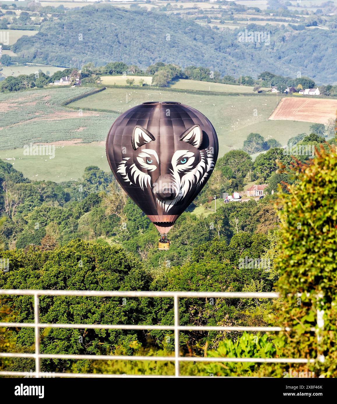 Exeter, Devon, Regno Unito. 25 maggio 2024. Devonshire Balloon & Music Festival vicino a Exeter, Devon, Regno Unito. Crediti: Nidpor/Alamy Live News Foto Stock