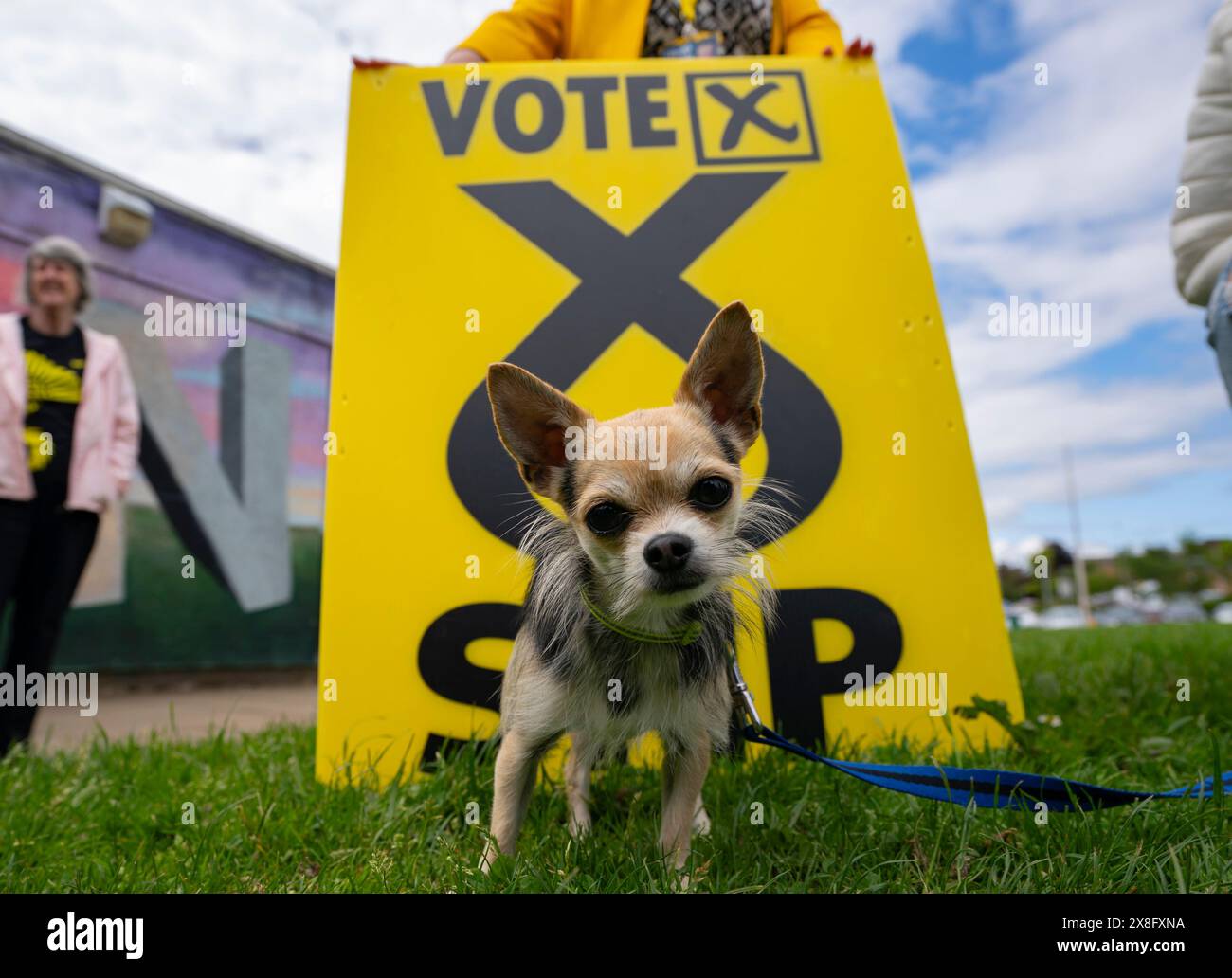 Glenrothes, Scozia, Regno Unito. 25 maggio 2024. Il primo ministro John Swinney guida la giornata nazionale d'azione del SNP facendo una campagna in diverse città e città scozzesi. PIC; prima Misister visita Glenrothes con il candidato SNP per Glenrothes e Mid Fife John Beare. Iain Masterton/Alamy Live News Foto Stock