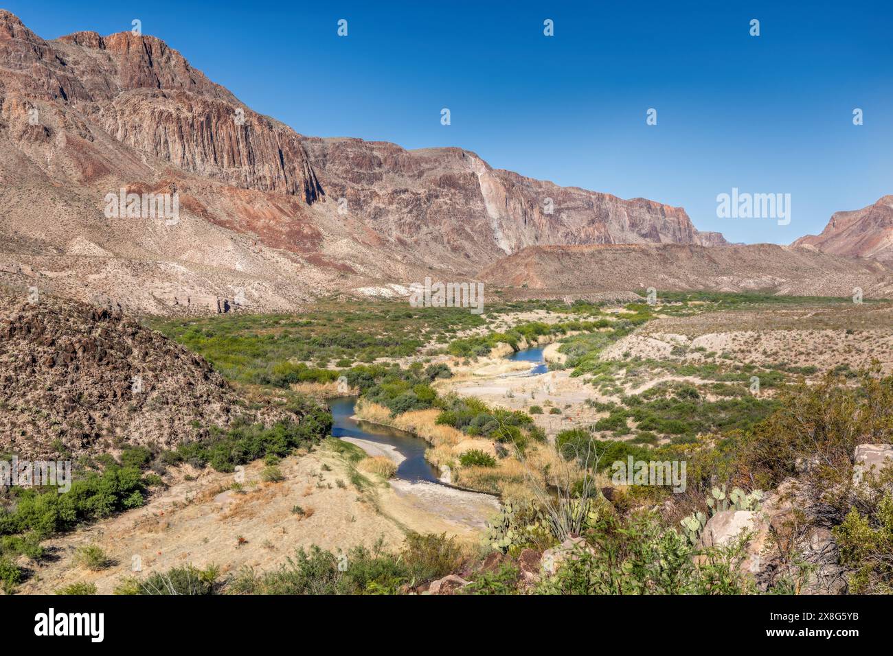 La banda verde del fiume Rio grande che conduce attraverso il Big Bend National Park, Texas USA Foto Stock