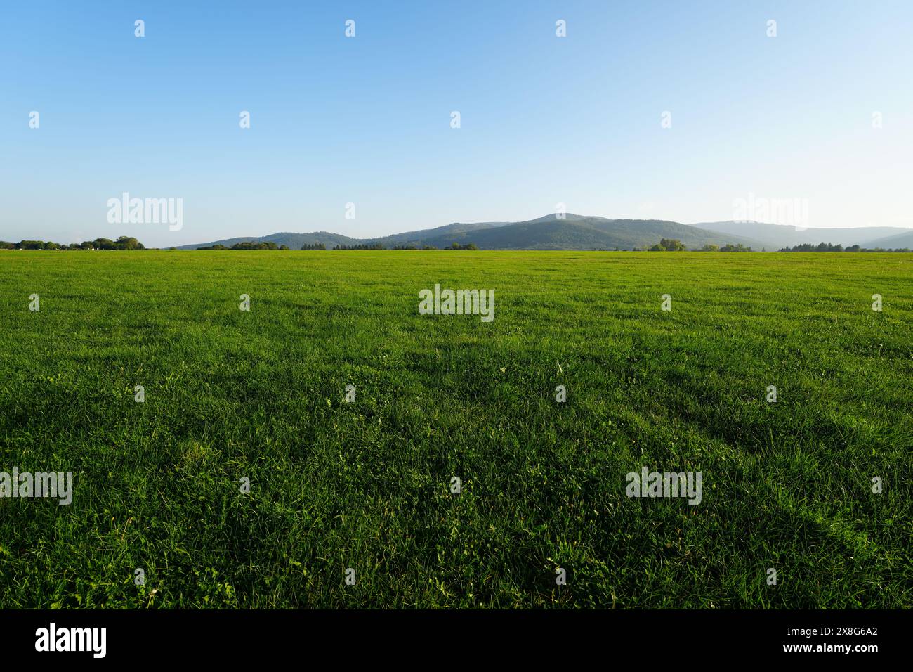 Prateria di campo d'aviazione e Beskids della Slesia nella città europea di Bielsko-Biala in Polonia, cielo blu cristallino nel 2023 caldo e soleggiato giorno autunnale di settembre. Foto Stock