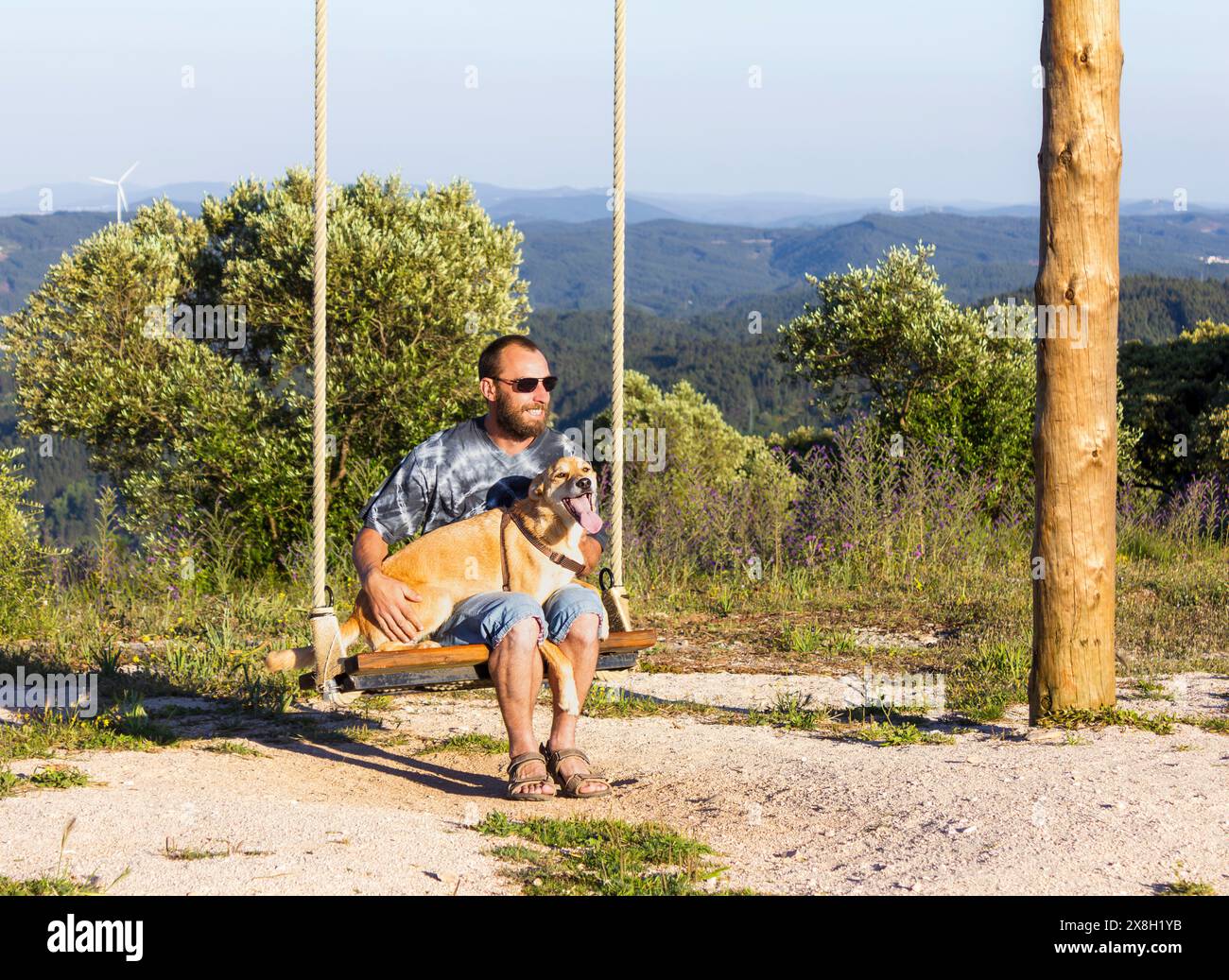 Cane di colore beige che passa con la propria persona su un grande altalena nel Portogallo centrale Foto Stock