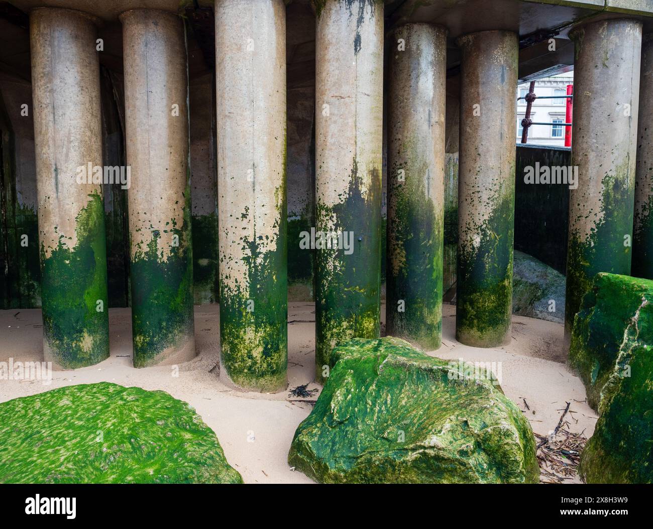 Pilastri di cemento ricoperti di muschio sulla spiaggia sabbiosa, che illustrano la natura e la costruzione umana in un ambiente costiero Foto Stock