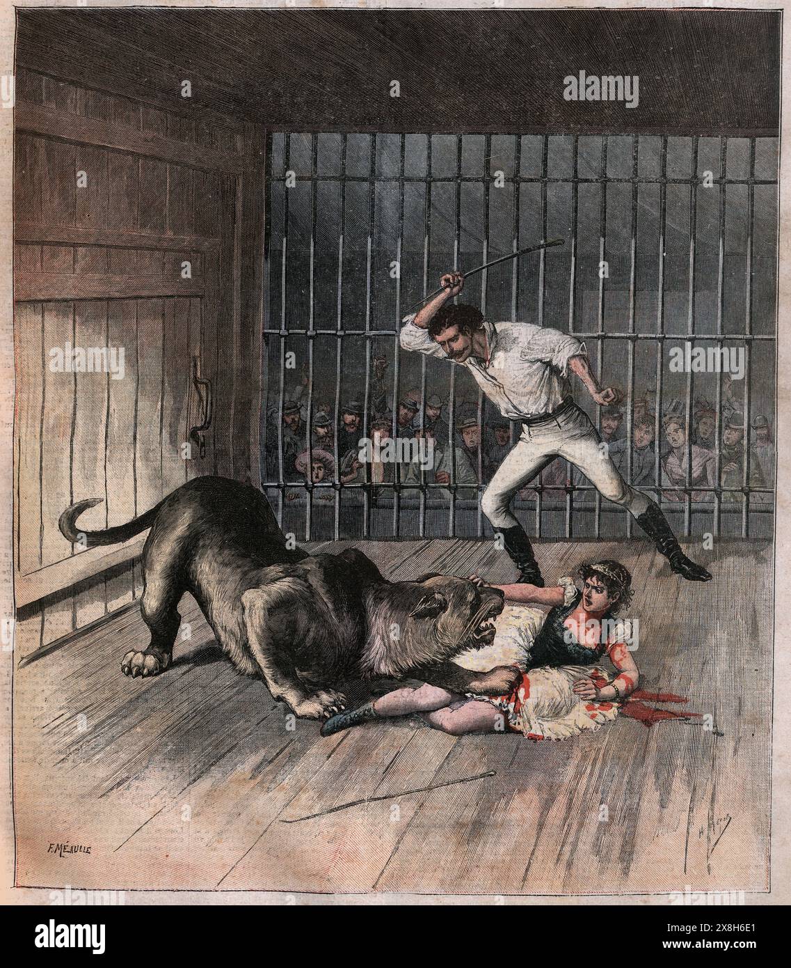 Lioness attacca un domatore di leoni durante una performace del circo vittoriano, Grenoble 1890s, Vintage Illustration 19th Century Foto Stock