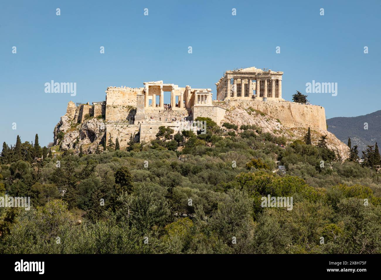 Il Partenone e l'Acropoli fotografati dalla collina Pynx, Atene, Grecia, Europa. Foto Stock