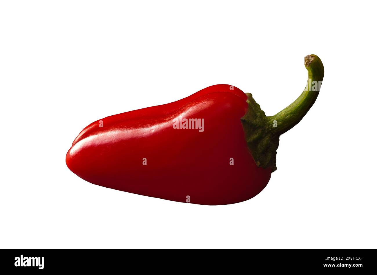 Peperoncino rosso caldo isolato. Ripresa in studio Foto Stock