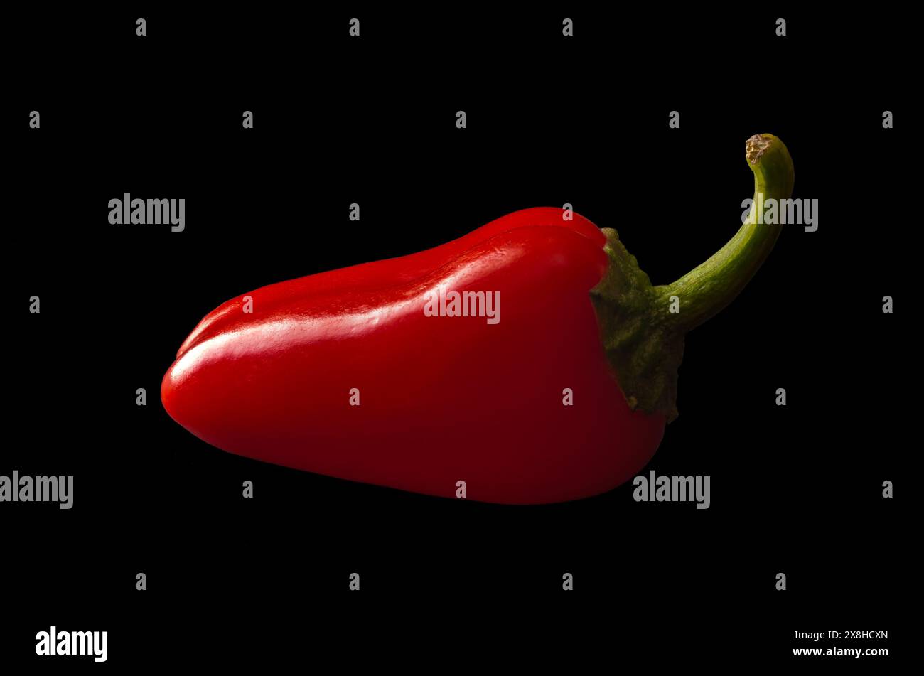 Peperoncino rosso caldo isolato. Ripresa in studio Foto Stock