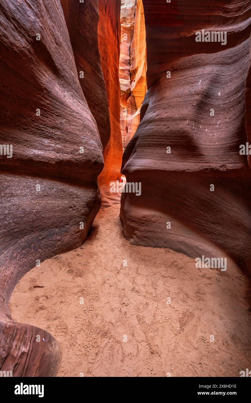 Immagine spettacolare di un canyon in Arizona chiamato Antelope Canyon dove una miscela di acqua piovana, sedimenti e inondazioni di flash erodono le fessure sopra i milli Foto Stock