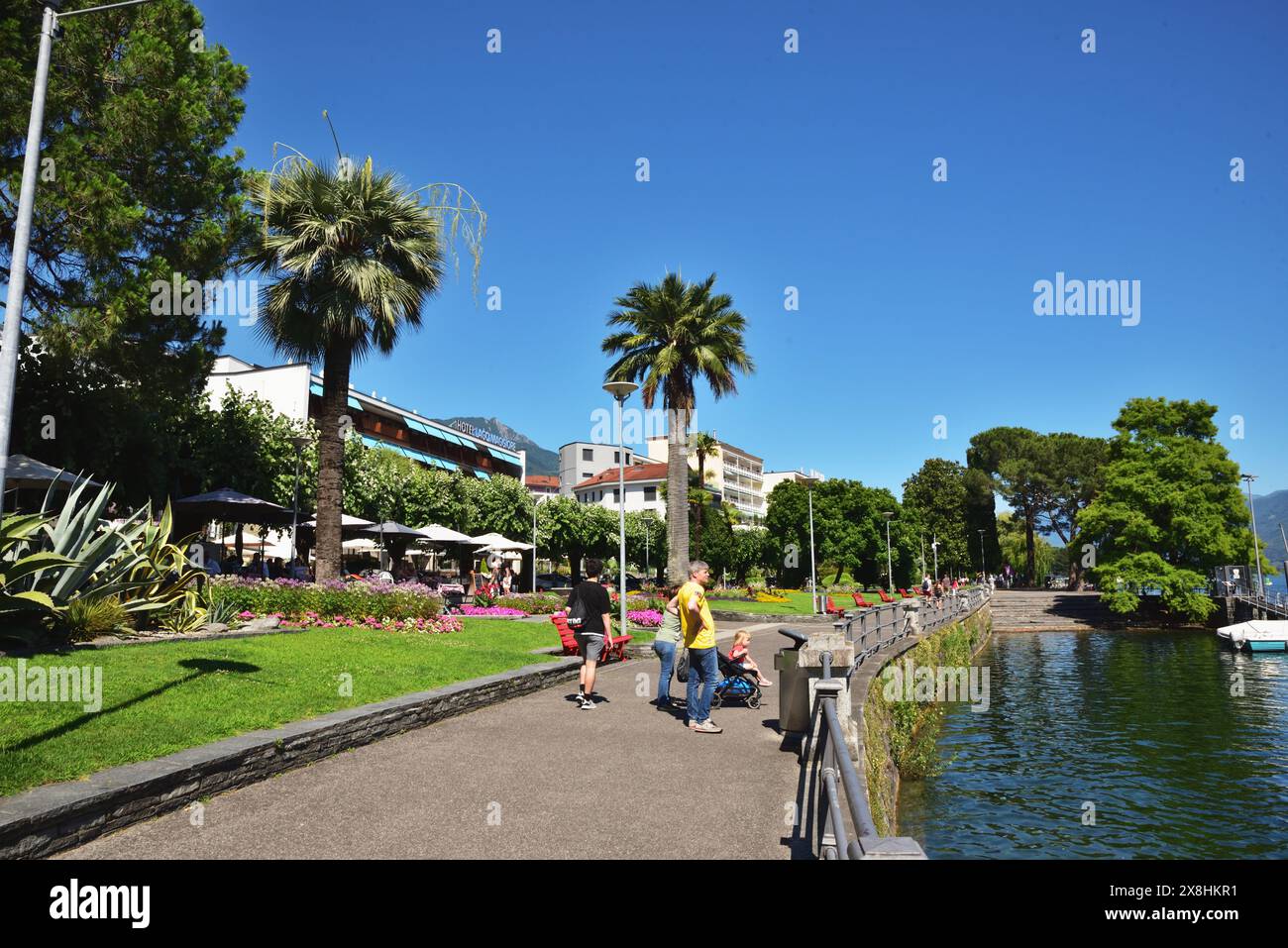 Il lungomare di Locarno, in Svizzera, è fiancheggiato da palme. Foto Stock