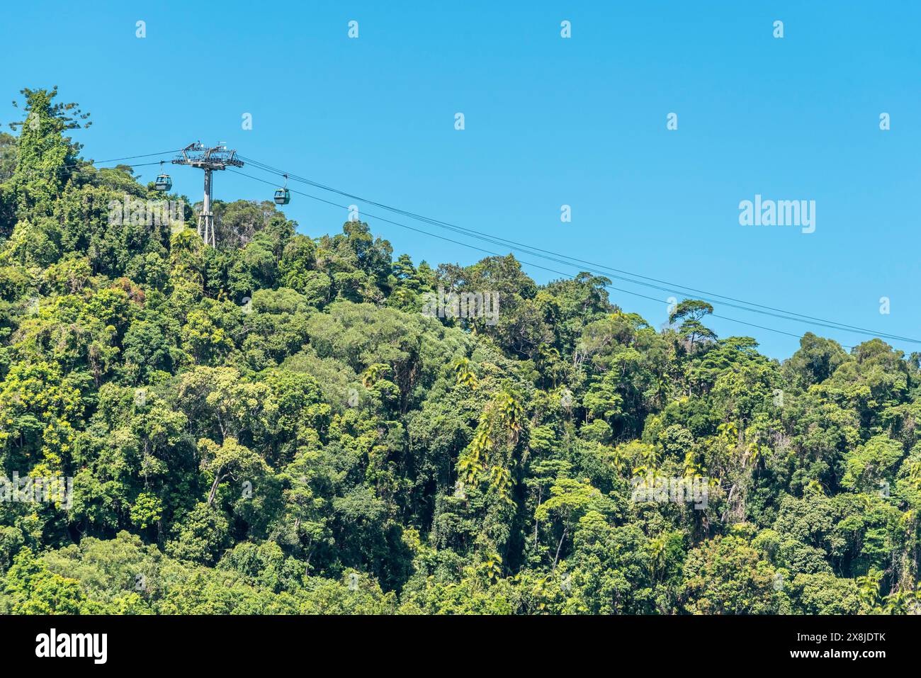 La funivia Skyrail Rainforest Cableway o giro in gondola si fa strada da Kuranda sopra la catena montuosa Macalister a Cairns nel Queensland settentrionale, Australia Foto Stock