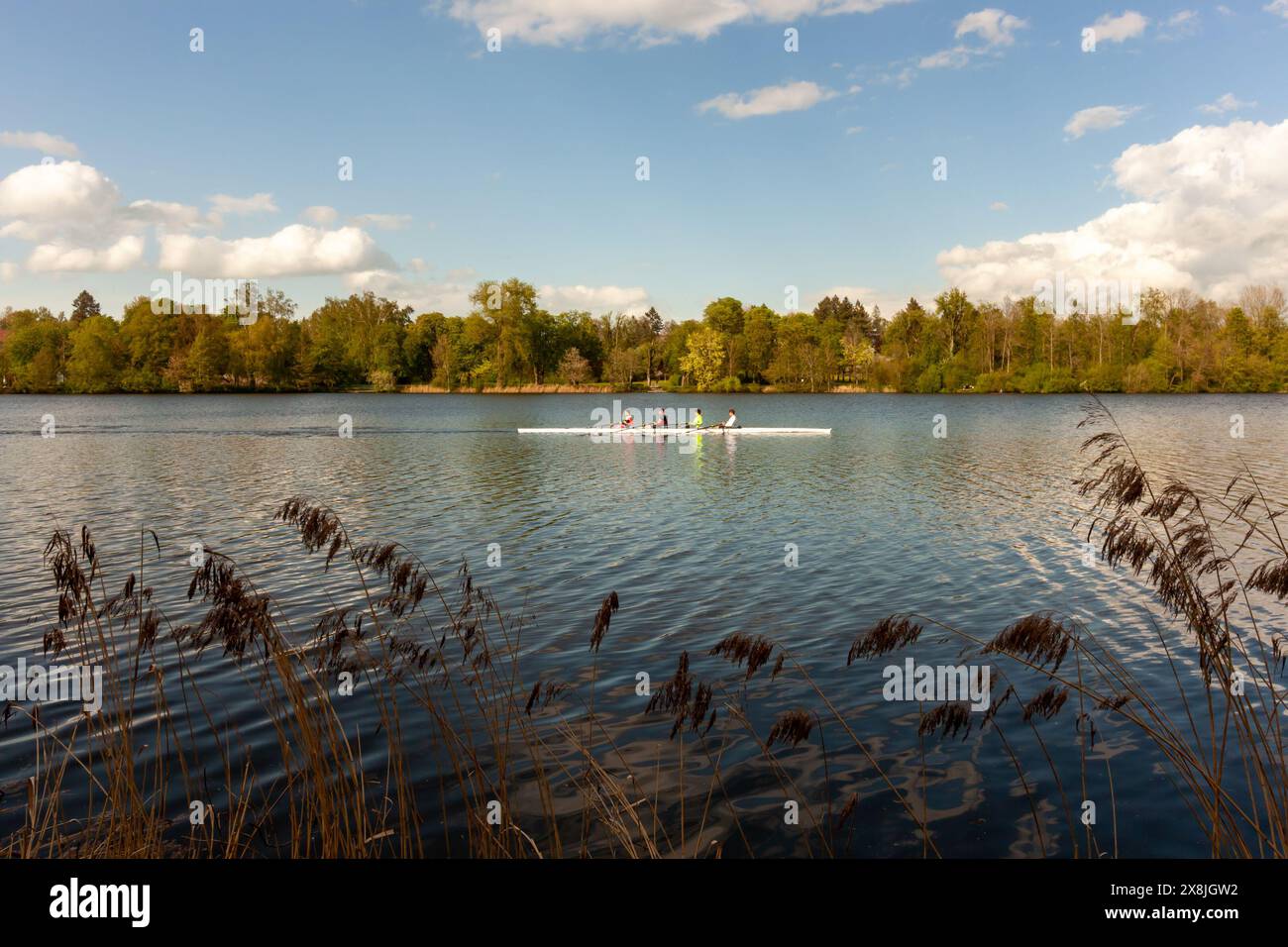 BAD WALDSEE, GERMANIA - 15 APRILE 2024: Formazione di atleti accademici di canottaggio sul lago della città di Bad Waldsee Foto Stock