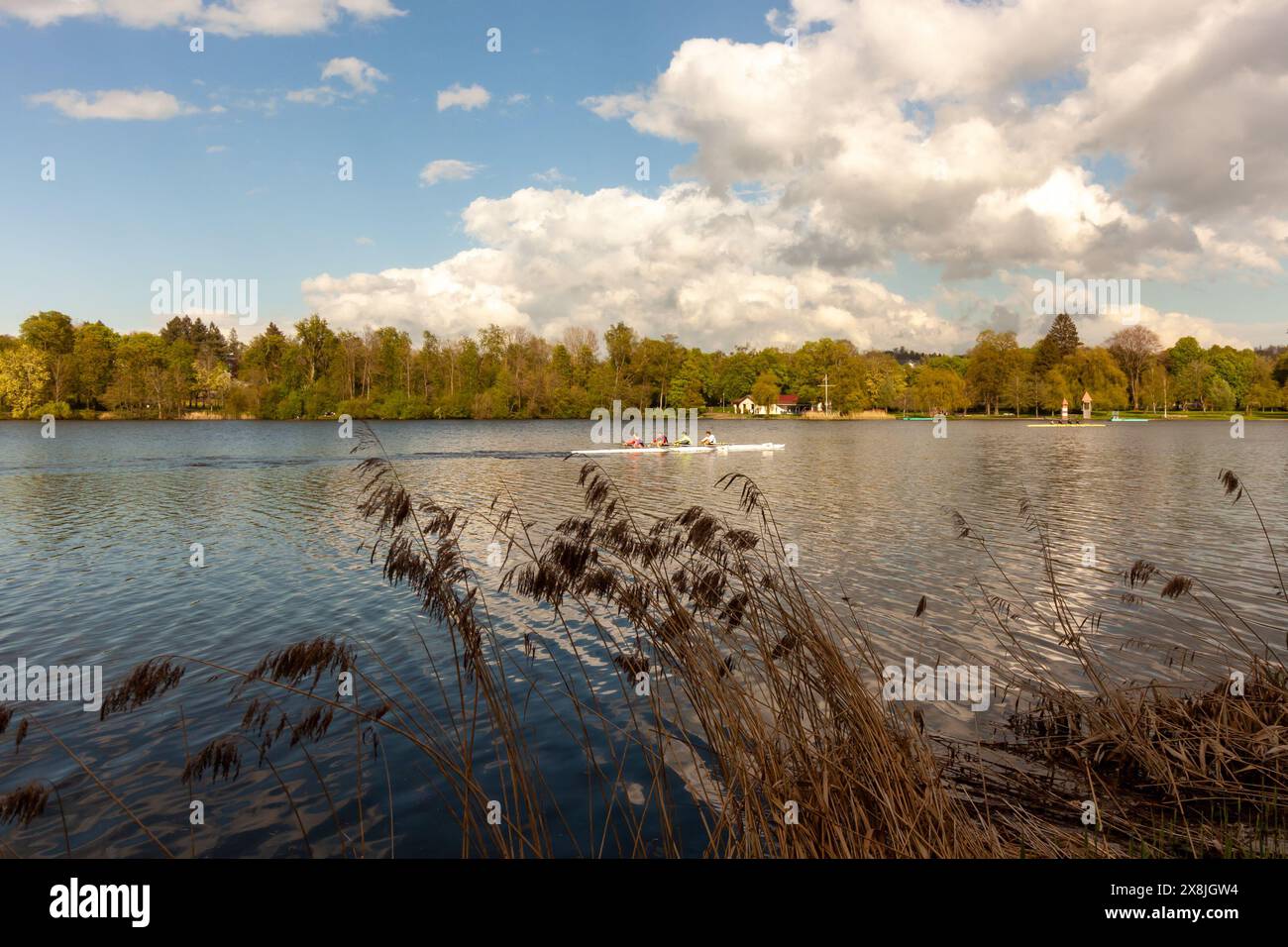 BAD WALDSEE, GERMANIA - 15 APRILE 2024: Formazione di atleti accademici di canottaggio sul lago della città di Bad Waldsee Foto Stock