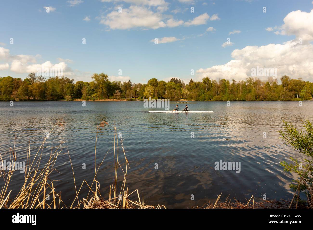 BAD WALDSEE, GERMANIA - 15 APRILE 2024: Formazione di atleti accademici di canottaggio sul lago della città di Bad Waldsee Foto Stock