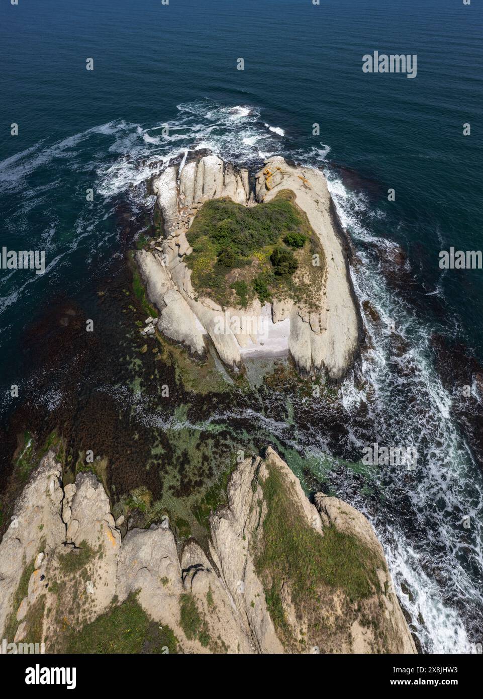 Vista aerea dell'isola degli uccelli sulla costa del Mar Nero ad Arapya, regione di Burgas, Bulgaria Foto Stock