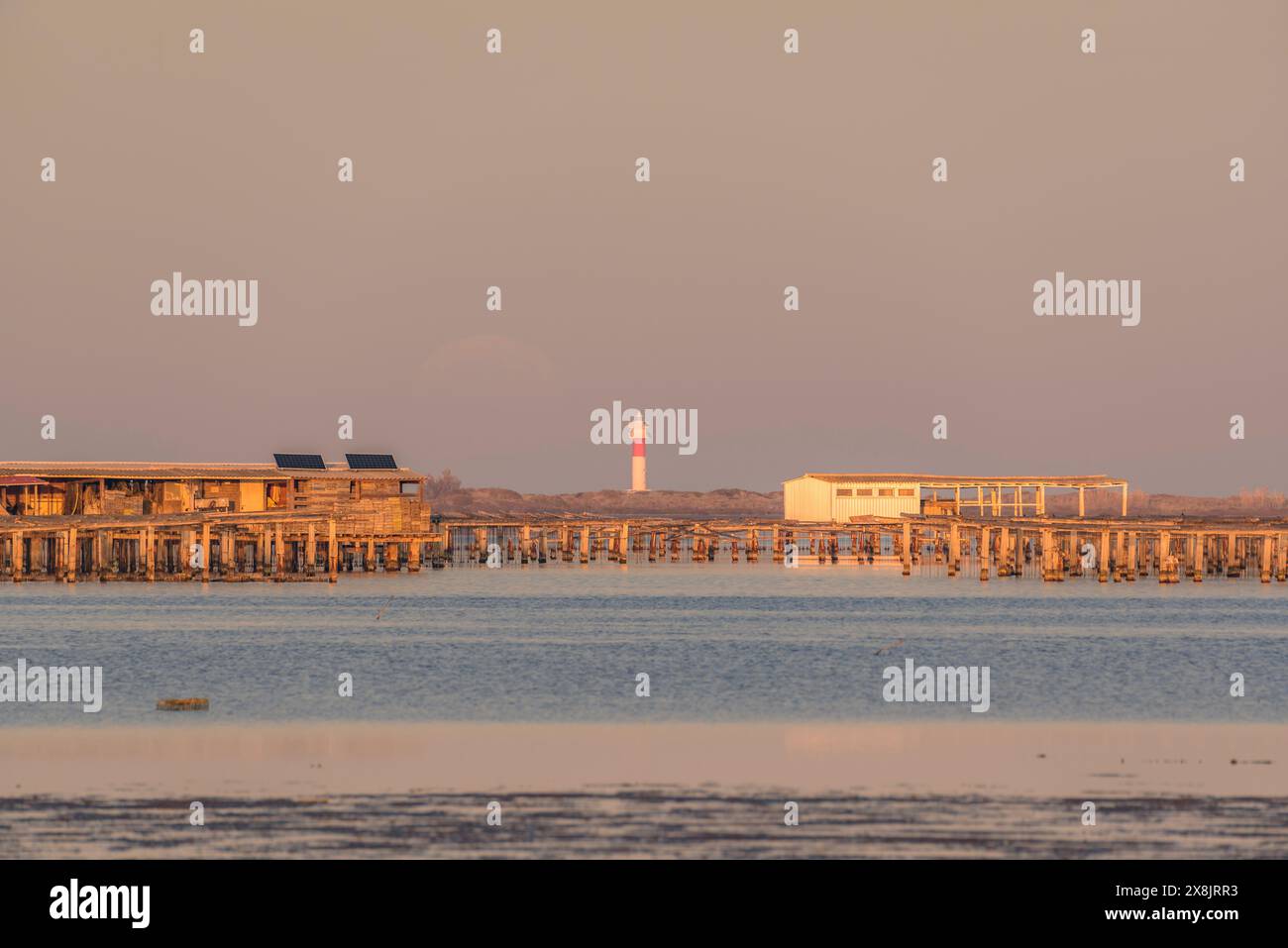 Tramonto e alba nella baia di Fangar e il suo faro, nel Delta dell'Ebro (Tarragona, Catalogna, Spagna) ESP: Atardecer y salida de Luna, Bahía Alfaques Foto Stock