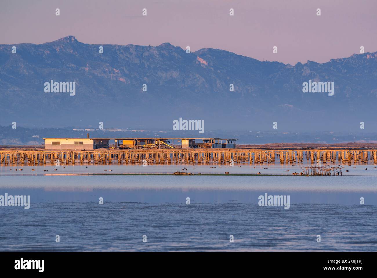 Tramonto nella baia di Fangar e il suo faro, nel Delta dell'Ebro (Tarragona, Catalogna, Spagna) ESP: Atardecer en la Bahía del Fangar y su faro, Cataluña Foto Stock